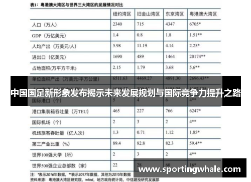 中国国足新形象发布揭示未来发展规划与国际竞争力提升之路